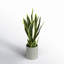 Artificial Sansevieria Snake Plant in Pot-1454465281