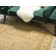 Moore Oriental Indoor Rug