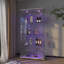 Vitrine moderne en verre avec lumières DEL-125205780