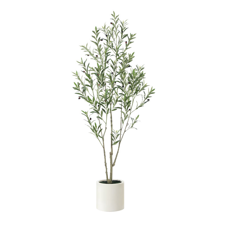 Altman Faux Olive Tree with White Planter, 72'' H X 22'' W X 22'' D