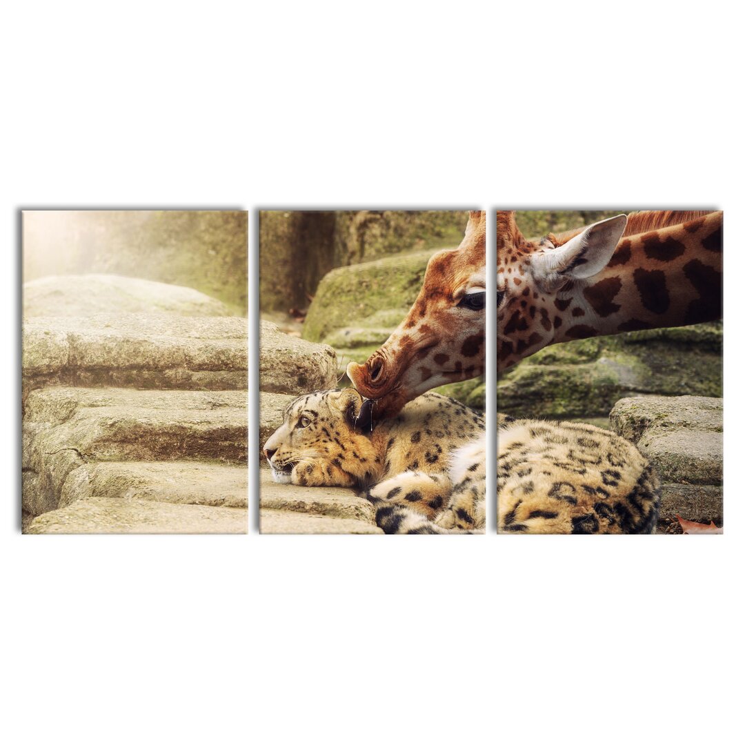 3-tlg. Leinwandbilder-Set Leopard and a Giraffe