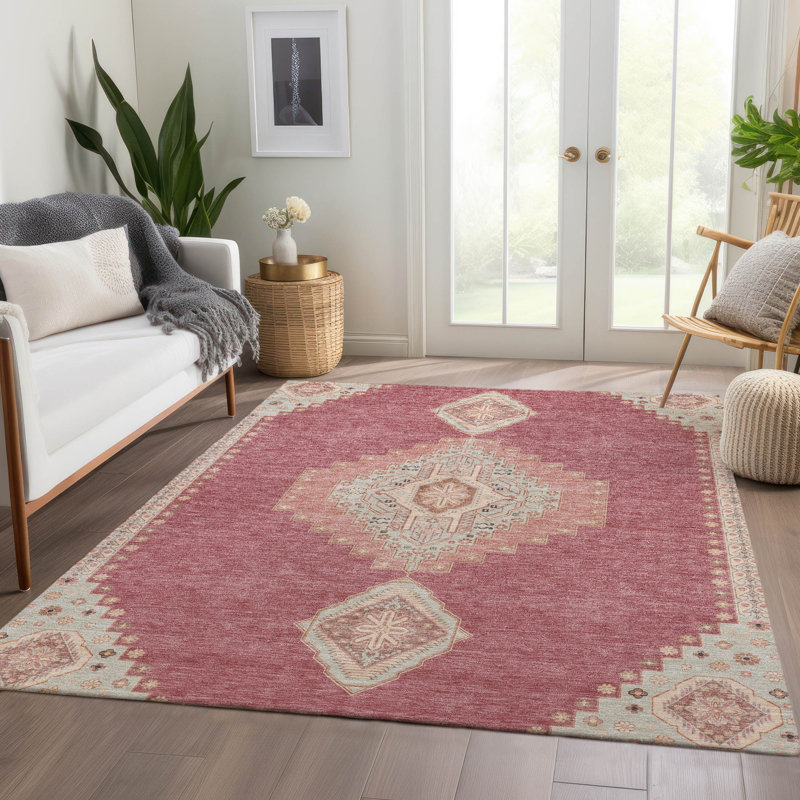 Premium Machine Washable Colmenero AMF1014 Oriental Rug, Rectangle 3' x 5'