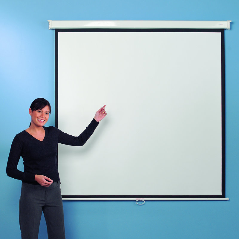 White Manual Projection Screen, 240 cm H x 240 cm W