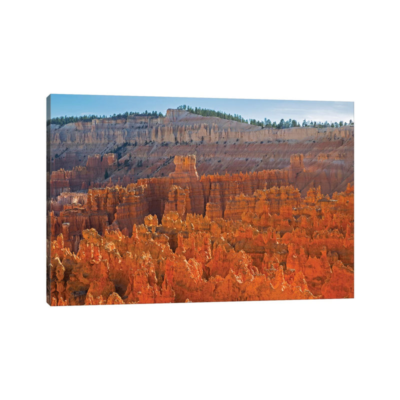 Utah, Bryce Canyon National Park View Of Canyon With Hoodoos by Jamie & Judy Wild - Wrapped Canvas Print