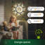 Rivale LED Up & Downlight