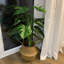 Faux Plant in Pot Liner-66311159