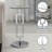 Sapienza Chrome Glass Martini End Table