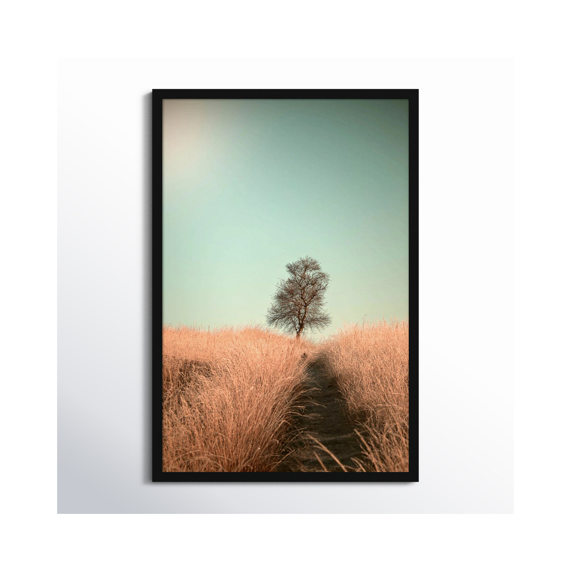 Grass And Path by Jaap Van Den, 23" W x 33" H, Black