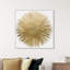 Sunburst Adore - impression-72508285-119405849-72508280