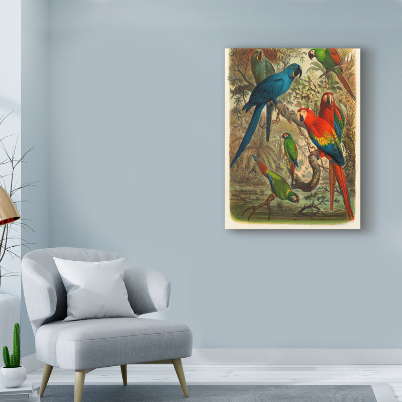 « cassel tropical oiseaux iii », reproduction d’impression sur toile tendue, H 19 po x l 14 po x P 2 po