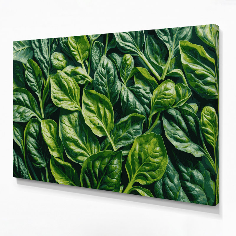 Légumes, épinards, Spinacia oleracées, art mural sur toile verte, 24" H x 36" W