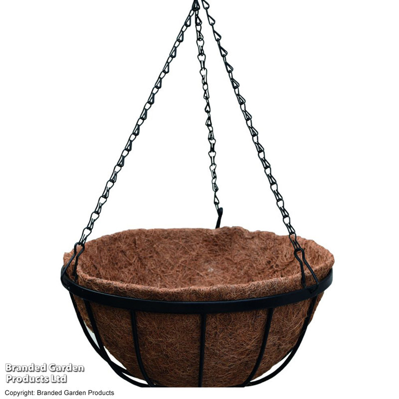 Hanging Planter