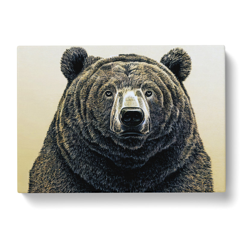 Outstanding Bear - Wrapped Canvas Print, 35cm H x 50cm W x 3cm D