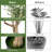 72 " H Faux Olive Tree in Plastic and Cement Pot