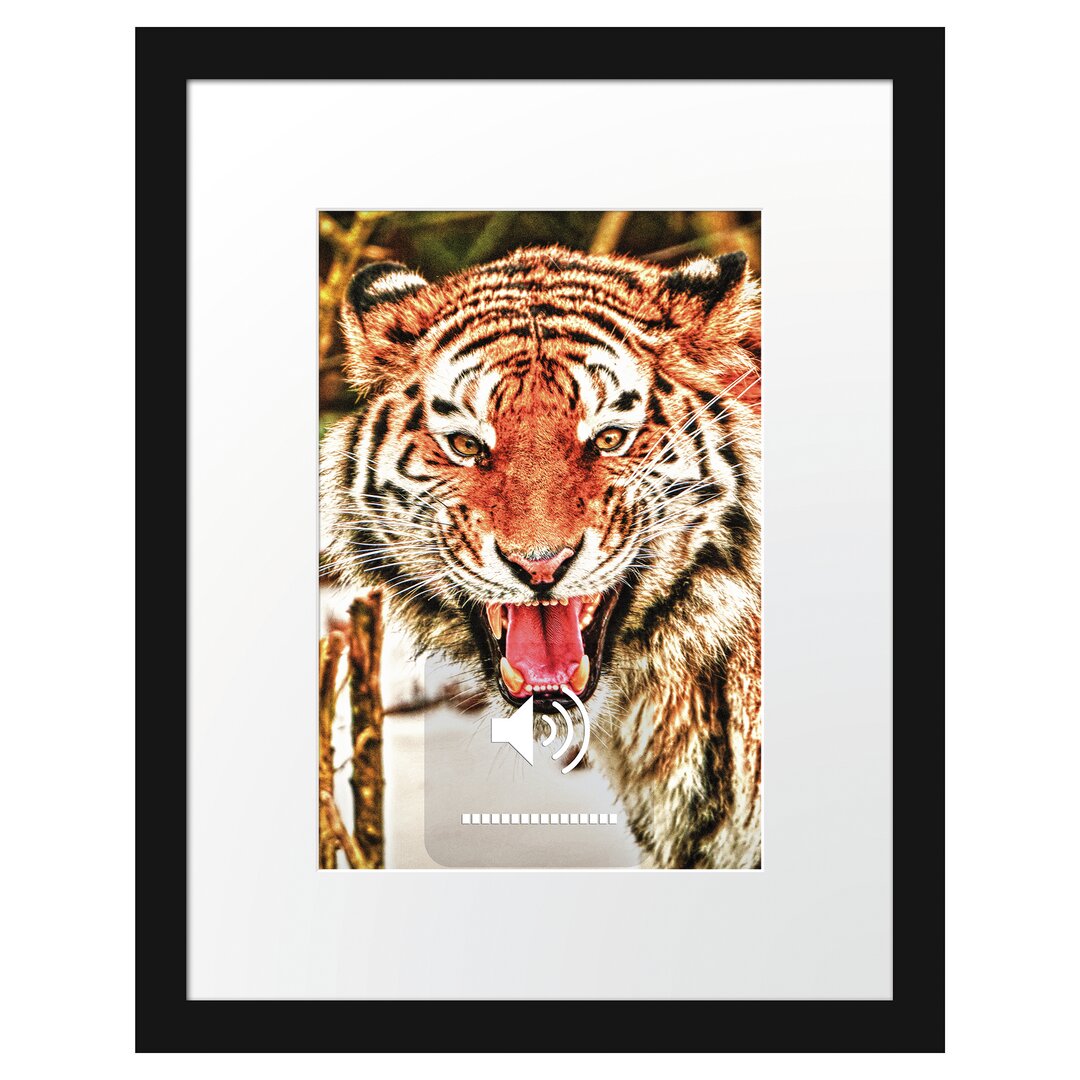 Gerahmtes Poster Tiger-Scream