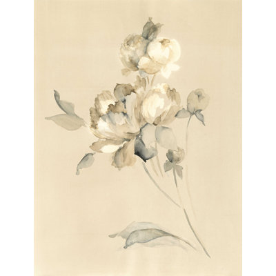 Peony Blossoms - impression sur toile tendue