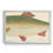 " Donovan Antique Fish II "-1932054238-1932054241