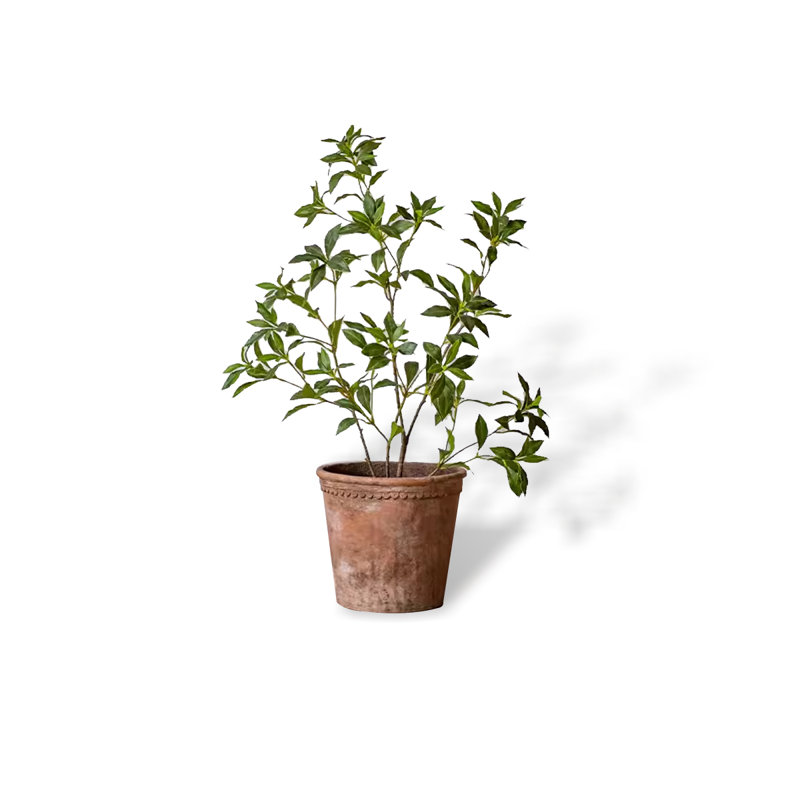 Décoration d'intérieur en bois petite plante verte