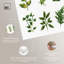 «Needlepoint Nature II», impressions florales sur toile par -1742106525-1742106500