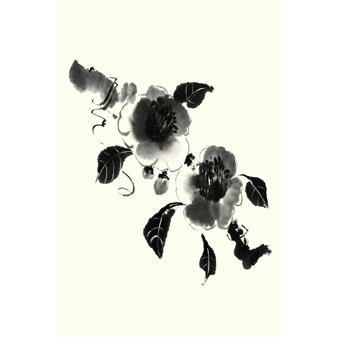 Leinwandbild Studies In Ink - Camellia von Nan Rae