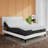 Channahon Adjustable Bed with Wireless Remote-457190387