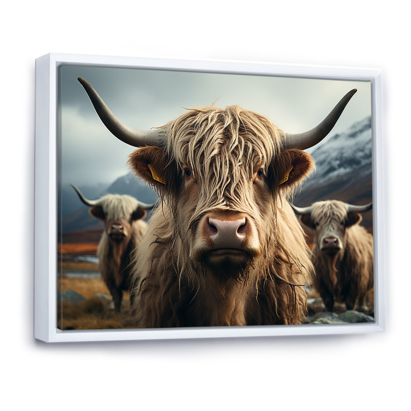 Majestic Highlands Yaks sur toile, H 24 po x l 32 po x P 1 po, Cadre flottant blanc