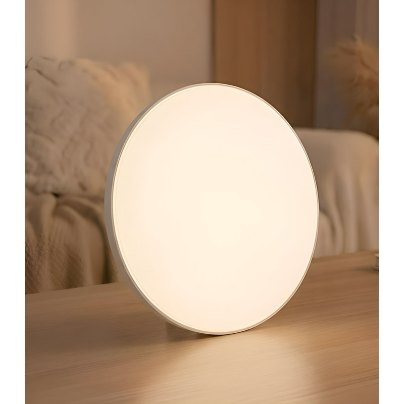 Ensemble de 5 ampoules à DEL 12 po, H 1,77 po x l 11,93 po x P 11,93 po, 24 W, Rond / ovale