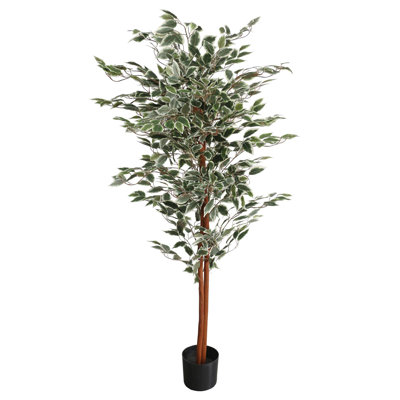 Anivea 160cm Faux Ficus Tree in Pot