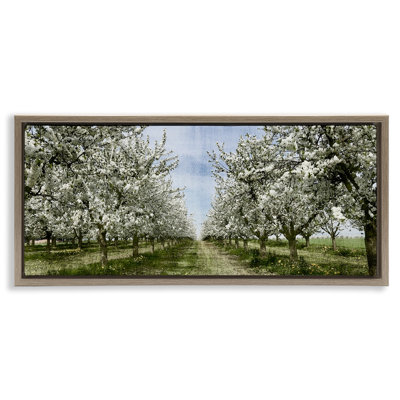 Arbre blanc en fleurs