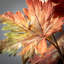39" Artificial Full Fall Maple Leaf Spray, Multicolor
