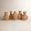 Ensemble de 5 vases Natural Beauties