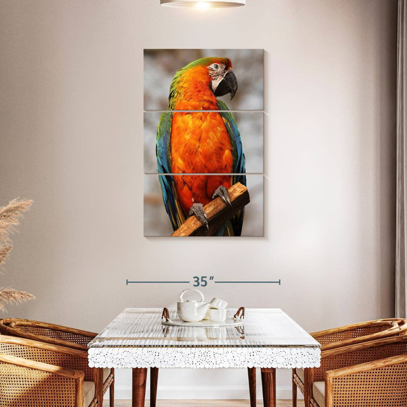 Brampt Catalina Macaw, 45" H x 28" W