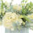 Spring Centerpiece with Hydrangeas, Eucalyptus and Heather