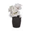 Vase en céramique en grès avec poignées - Accent de poterie décoratif rustique moderne, design minimaliste épuré, décoration décontractée tendance, vase en argile d'inspiration artisanale, pot de présentation polyvalent-1605997313-1599103196