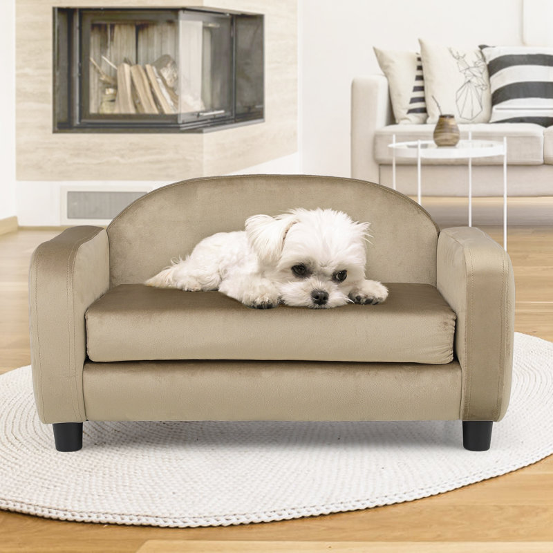 Light Brown Velvet Elevated Pet Sofa with Removable Cushion