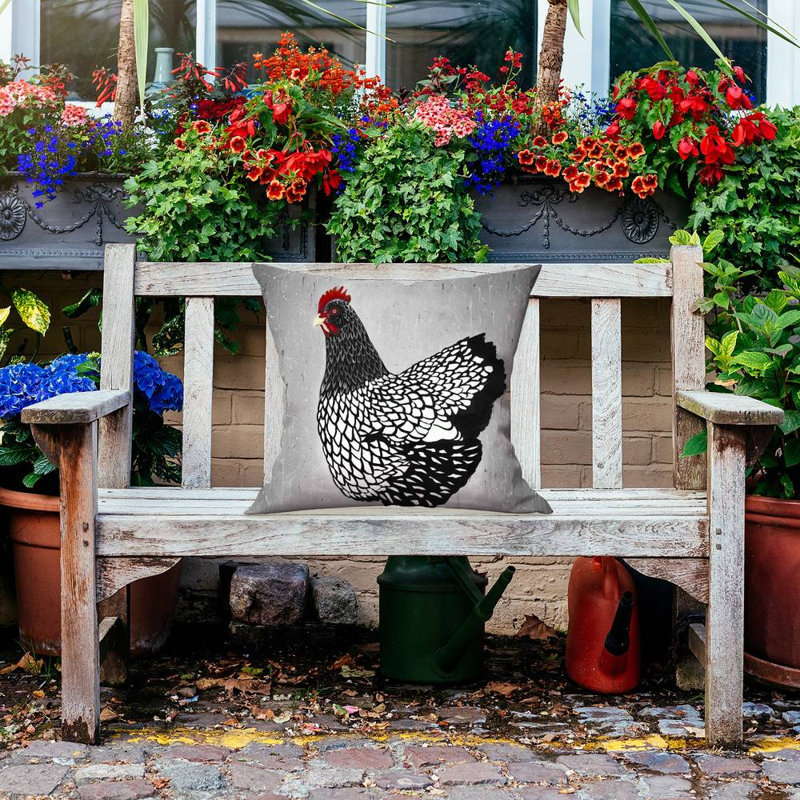 Black and white wyandotte hen - 20"x20" Outdoors Throw pillow - Spun poly - Print on demand, Black/Gray, 20" H x 20" W