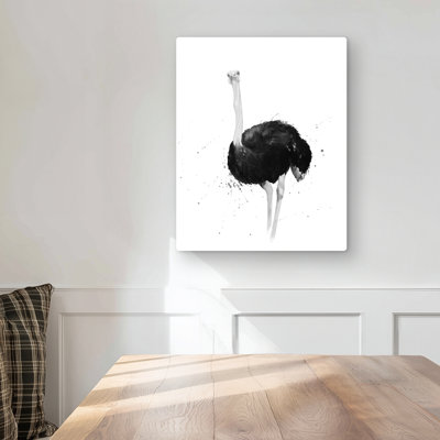 Ostrich in - Animals Office Metal Print Decor