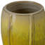 CREST PLANT, NEIGE-1178307576-1178832788