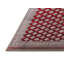 Tapis oriental rouge / gris Jaylene-1943257614