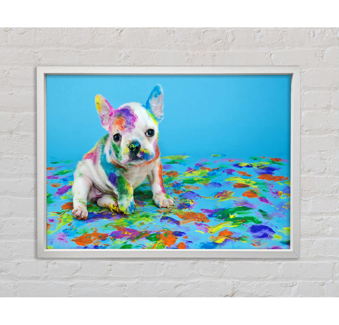 Französische Bulldogge Paint Party - Einzelner Bilderrahmen Kunstdrucke auf Leinwand