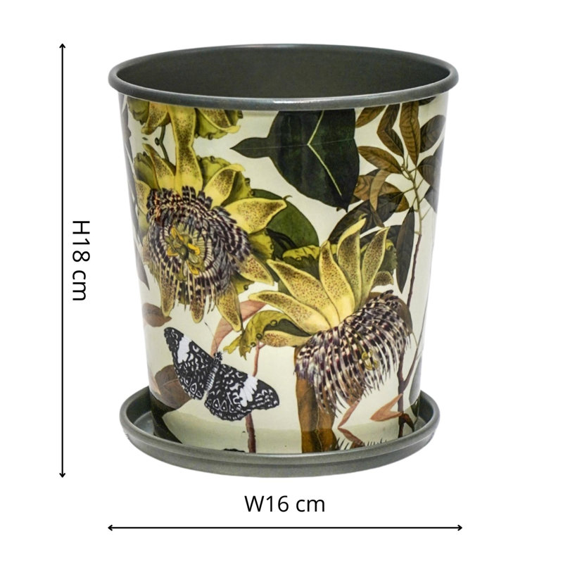 Metal Pot Planter, 18 cm H x 16 cm W x 16 cm D