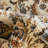 Gret Oriental Indoor Rug-20450886