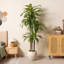 Faux arbre Dracaena de 7 pi résistant aux UV avec grand pot de fleurs blanc Adcock-122512139