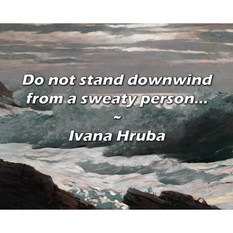 Ivana Hruba Citation: Ne pas rester sous le vent d'une personne en sueur ..., H 15 po x l 18 po