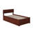 Bueno Park Solid Wood Platform Bed with Footboard and Trundle-1394692527-1394692523