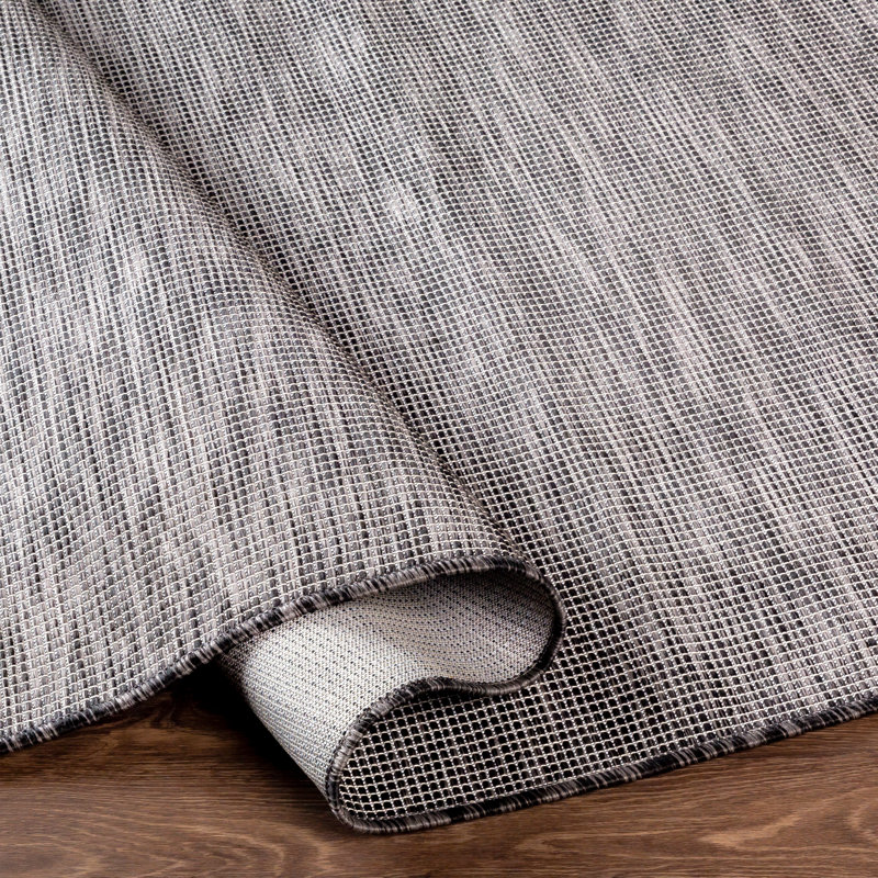Orman Indoor / Outdoor Rug, Rectangle 2'6" x 4'