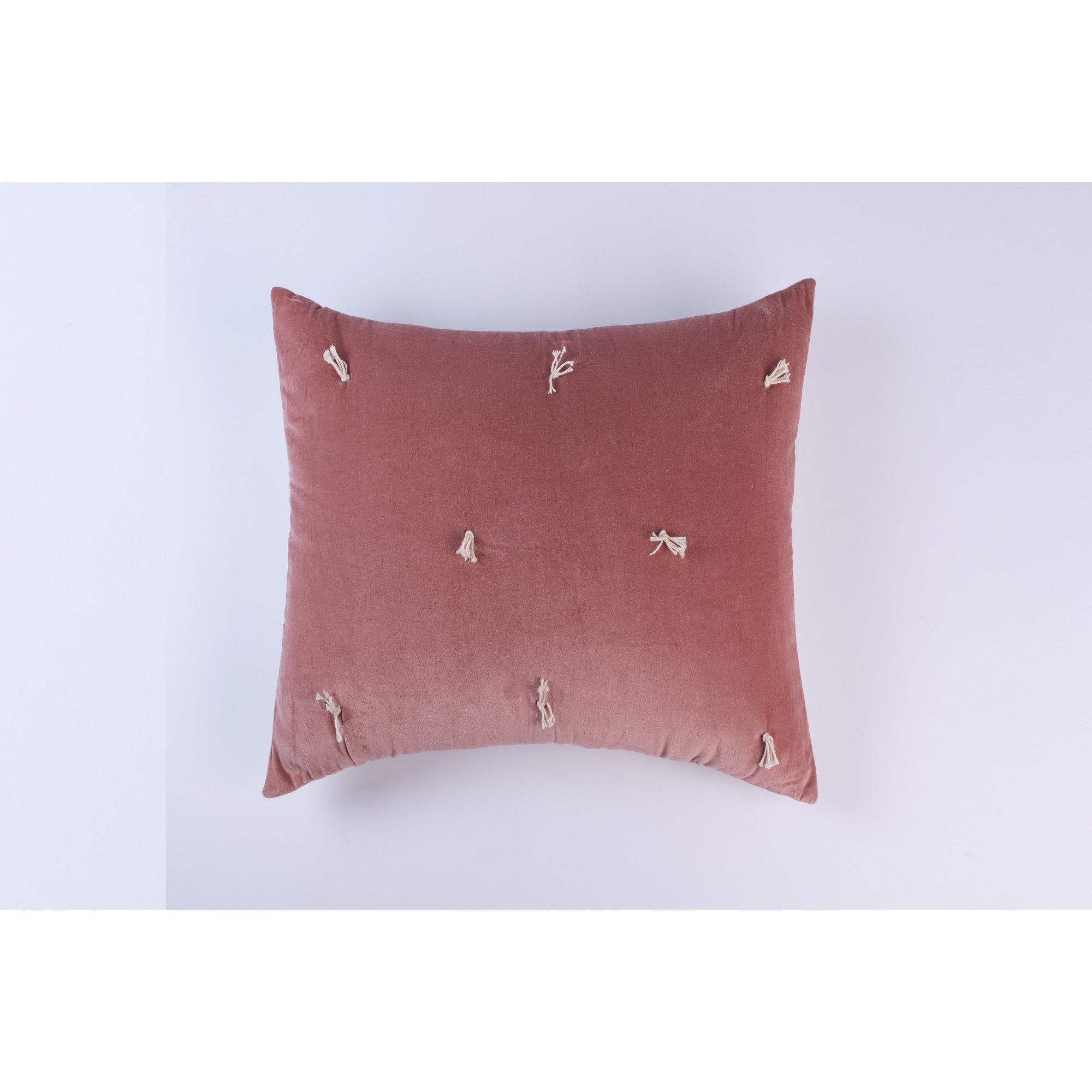 Geoff Cotton Pillow Sham, Euro, Blush