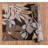 Shaver Floral Indoor Rug-261445075
