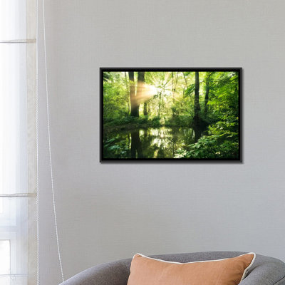 Eden Woods par Stefan Hefele - reproduction de photo sur toile tendue