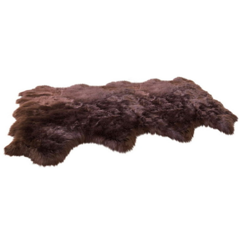 Tapis brun foncé Whisenhunt, Nouveauté 6 pi x 8 pi